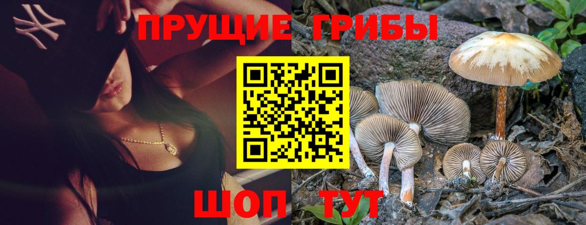 Псилоцибиновые грибы Cubensis Белая Калитва